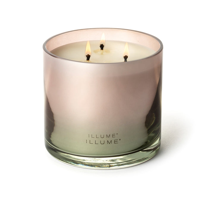 Coconut Milk Mango Statement Glass Candle