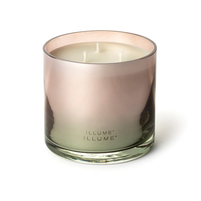Coconut Milk Mango Statement Glass Candle