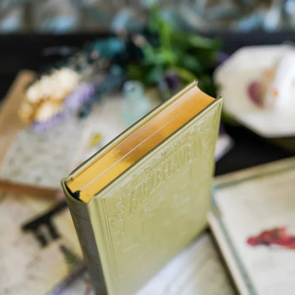 Fablehaven Book One features debossed illustrations on a leatherette cover, playful endpapers, and custom page edges.
