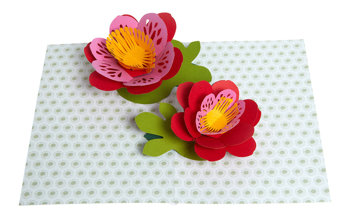 Floral Signature Pop-Up Card [Birthday]