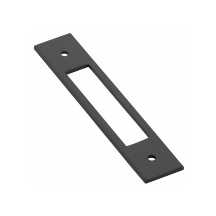 Modern Backplate For Pull