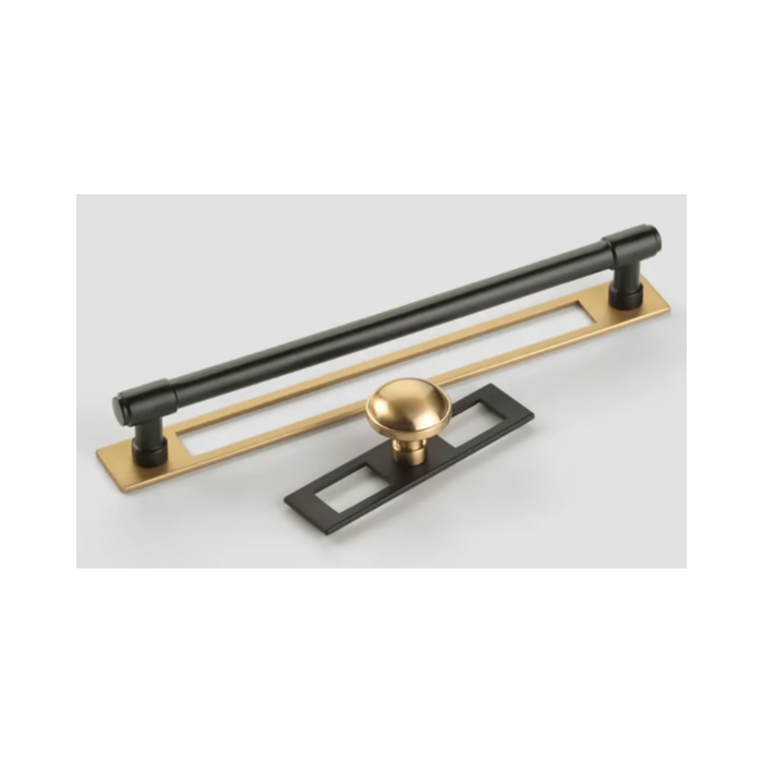 Modern Backplate For Pull