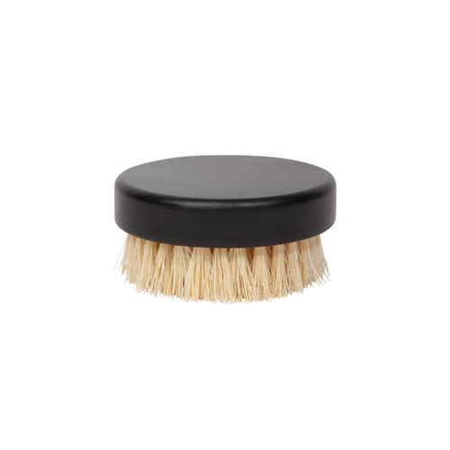 Sisal Palm Dish Brush