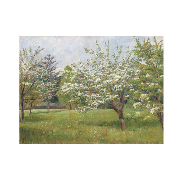 Spring Blossoms
