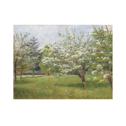 Spring Blossoms