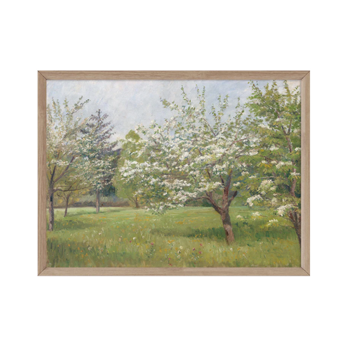 Spring Blossoms