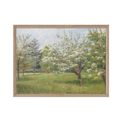 Spring Blossoms
